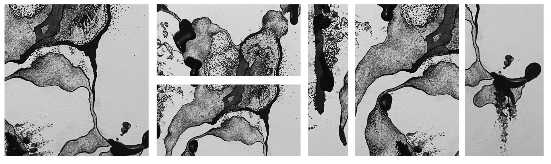 Abstract black and white ink wash studies of organic textures and melting forms