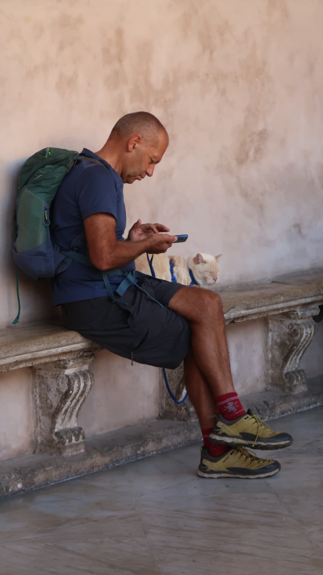 Man with a backpack on a bench beside a sleeping cat