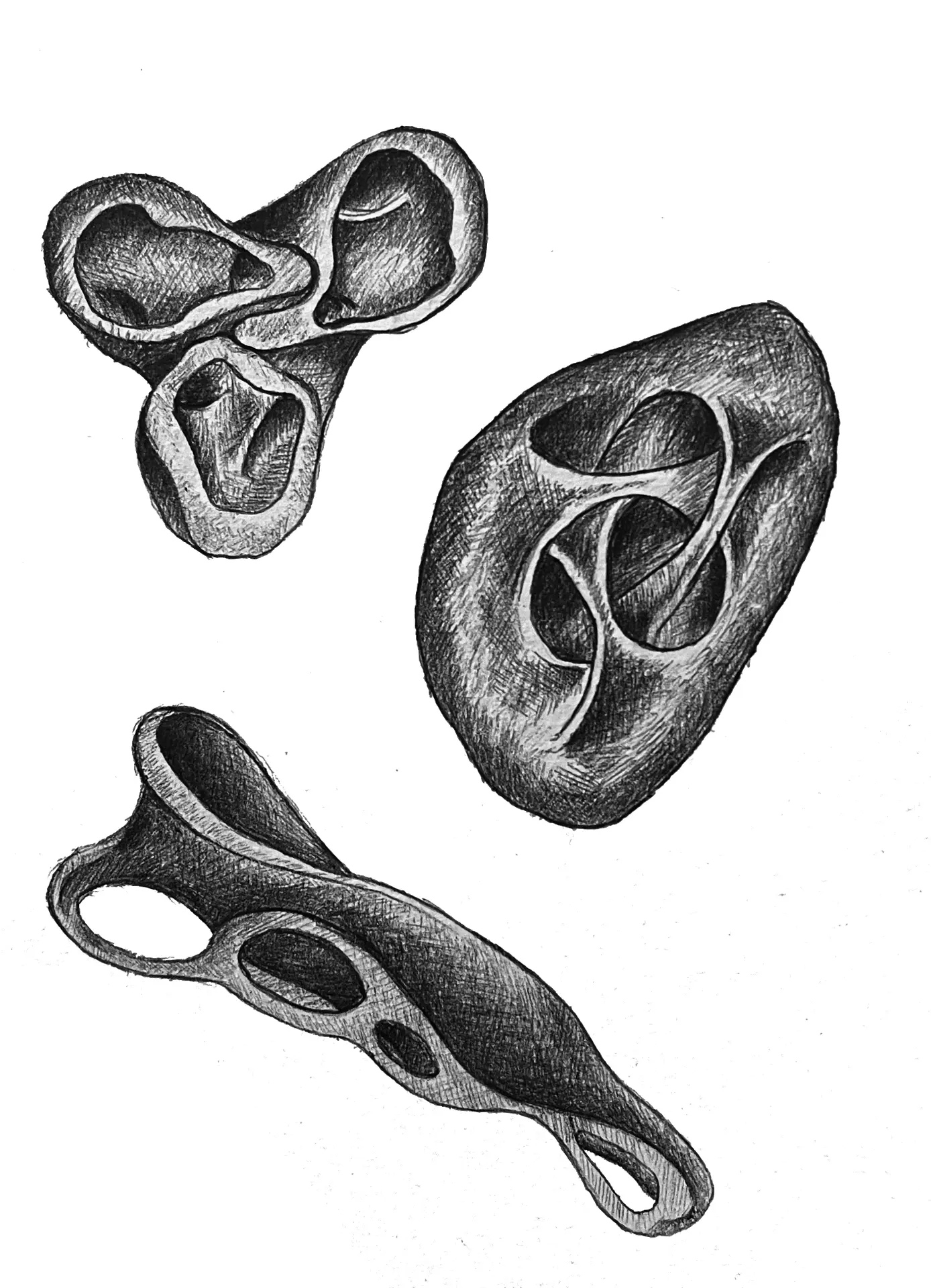 Graphite studies of three perforated organic volumes