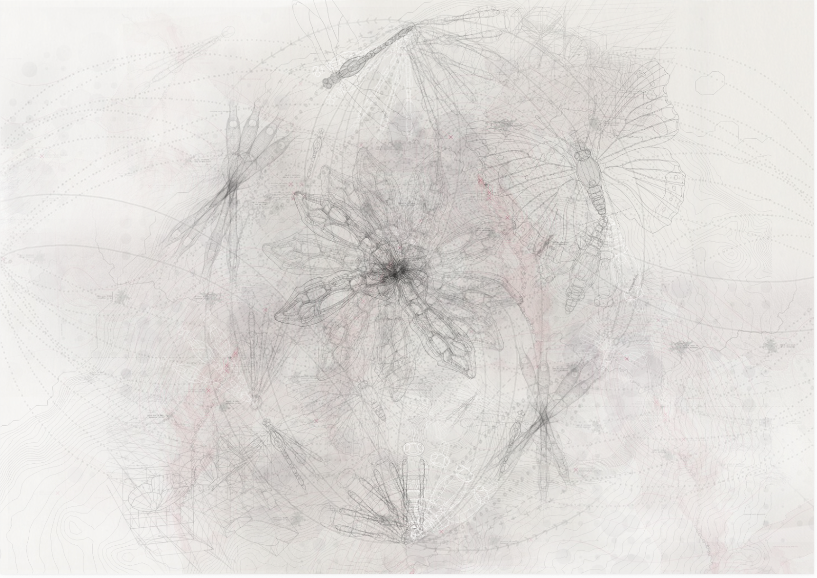 Layered technical drawing of an organic web-like structure with fine lines and pink marks