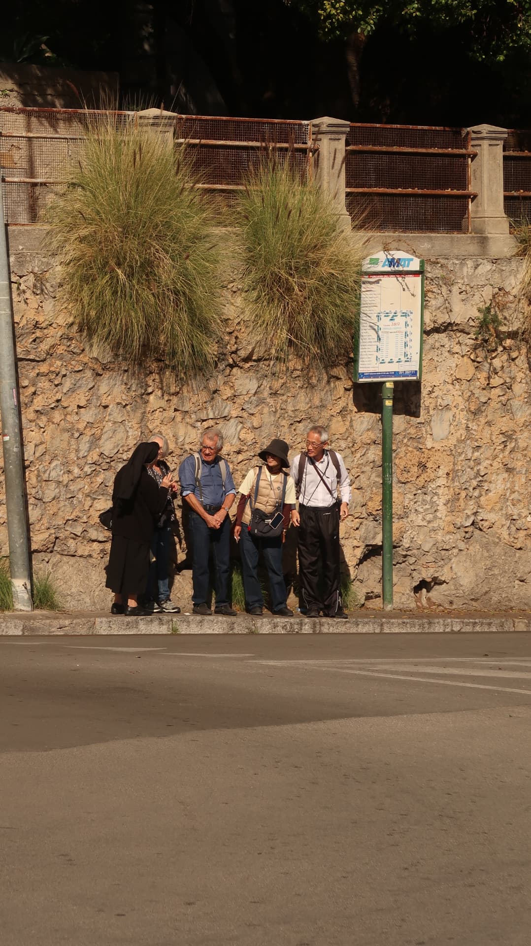 Group waiting at a bus stop below tufted grasses on a stone wall