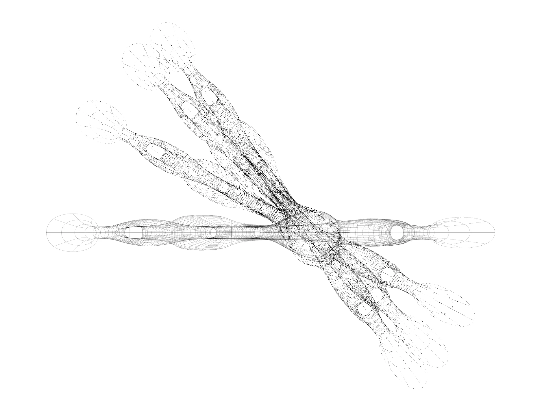 Wireframe drawing of a branching axial organism