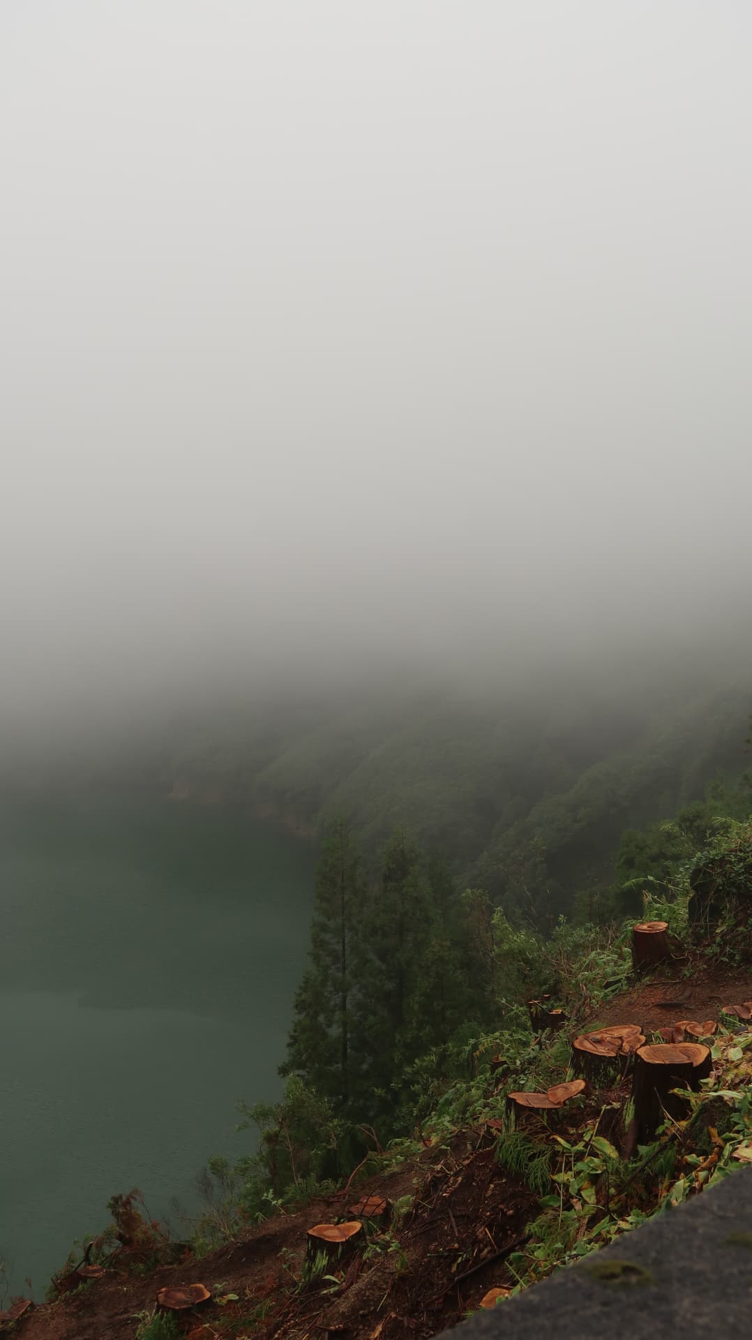 Crater lake edge with felled stumps and low cloud