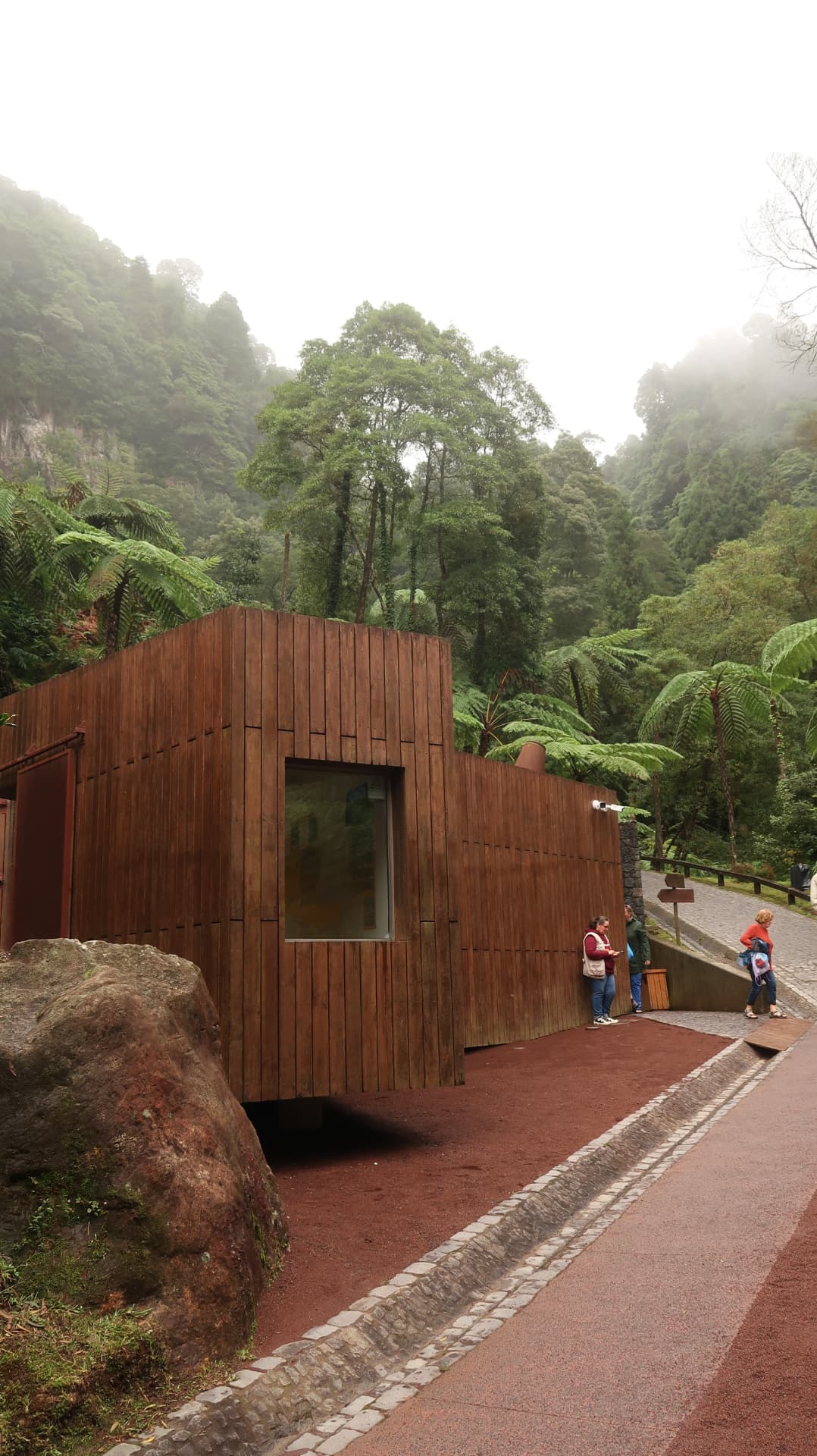 Timber clad pavilion set against a fern covered ravine