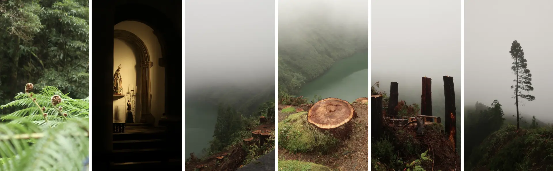 Vertical sequence of Azorean ferns, a stone arch, misty forests and lake landscapes