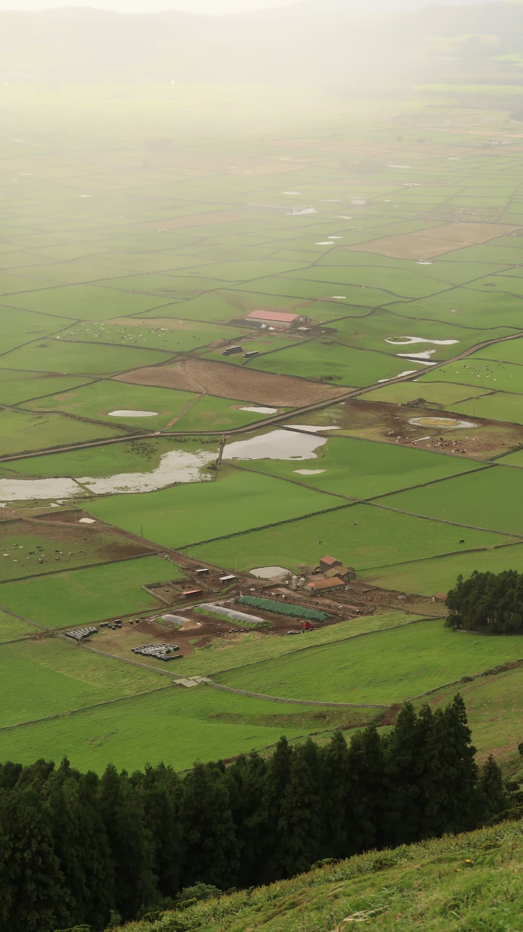 Patchwork of green fields and farms seen from above