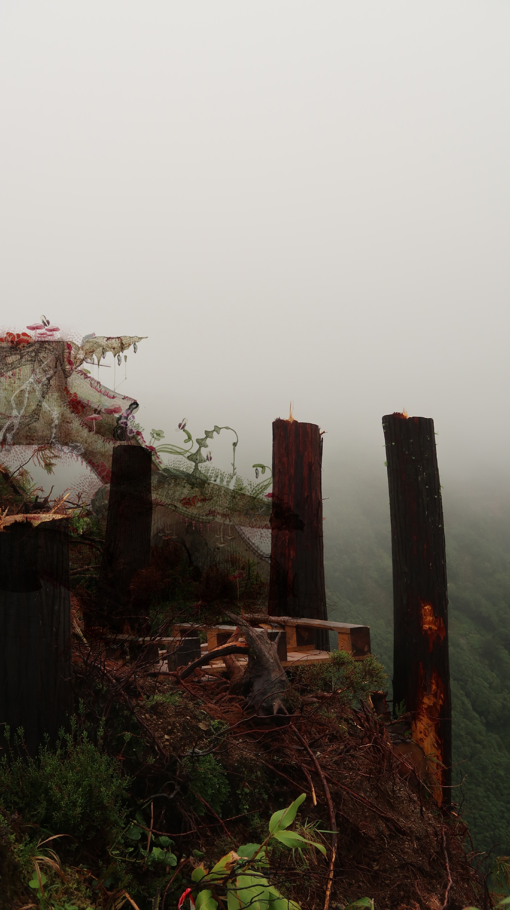 Second Azorean landscape study showing the intervention dissolving into the mist