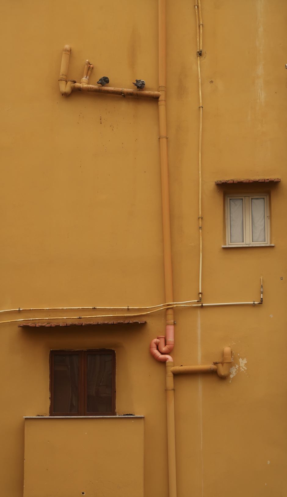 Ochre wall crossed by pipes with two pigeons perched above