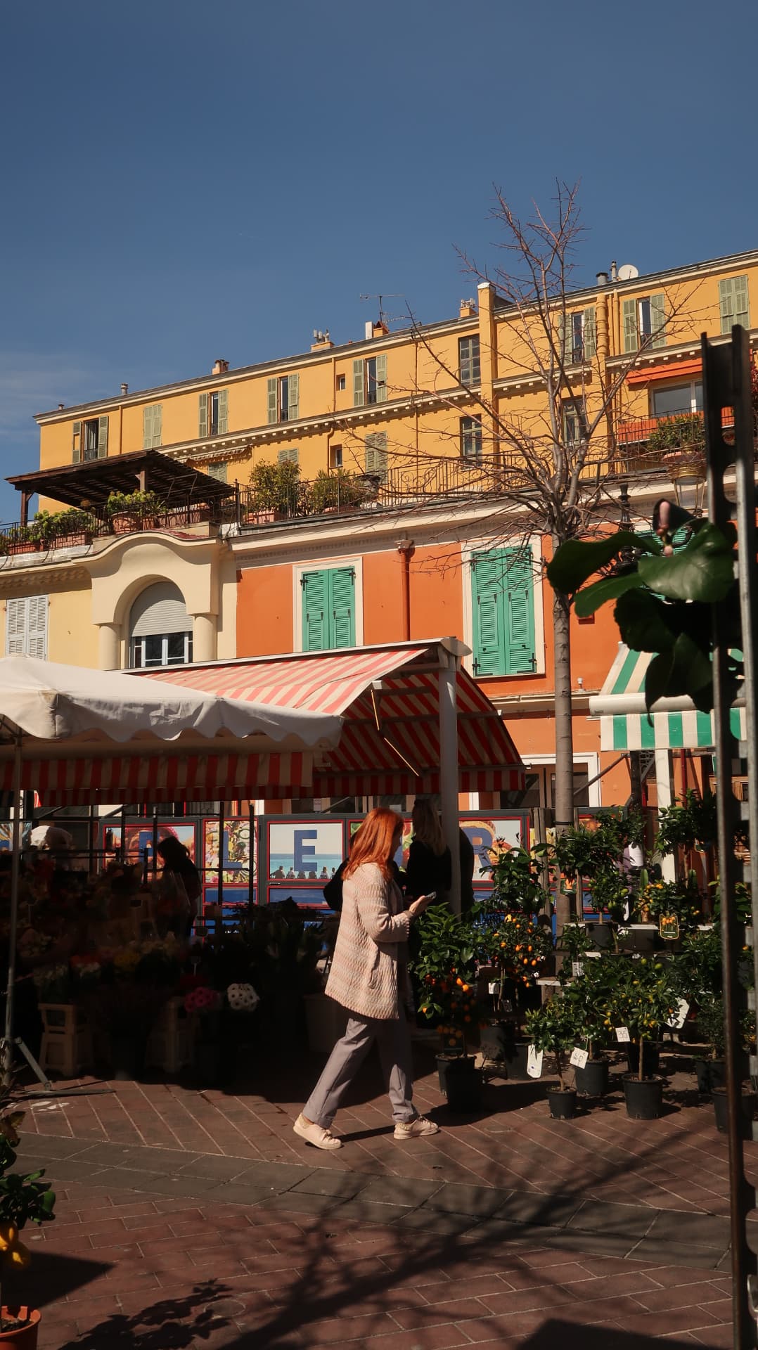 Flower market stalls in front of pastel facades