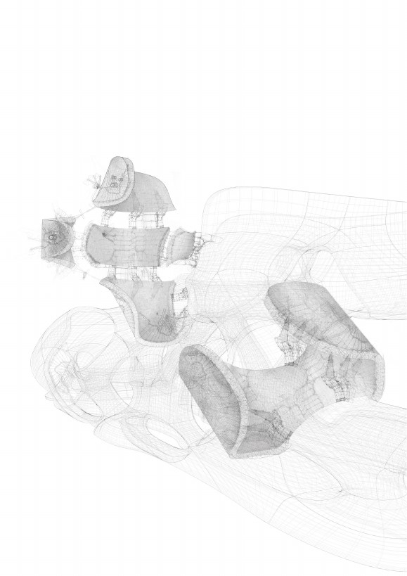 Detailed technical drawing of an evolving organic structure