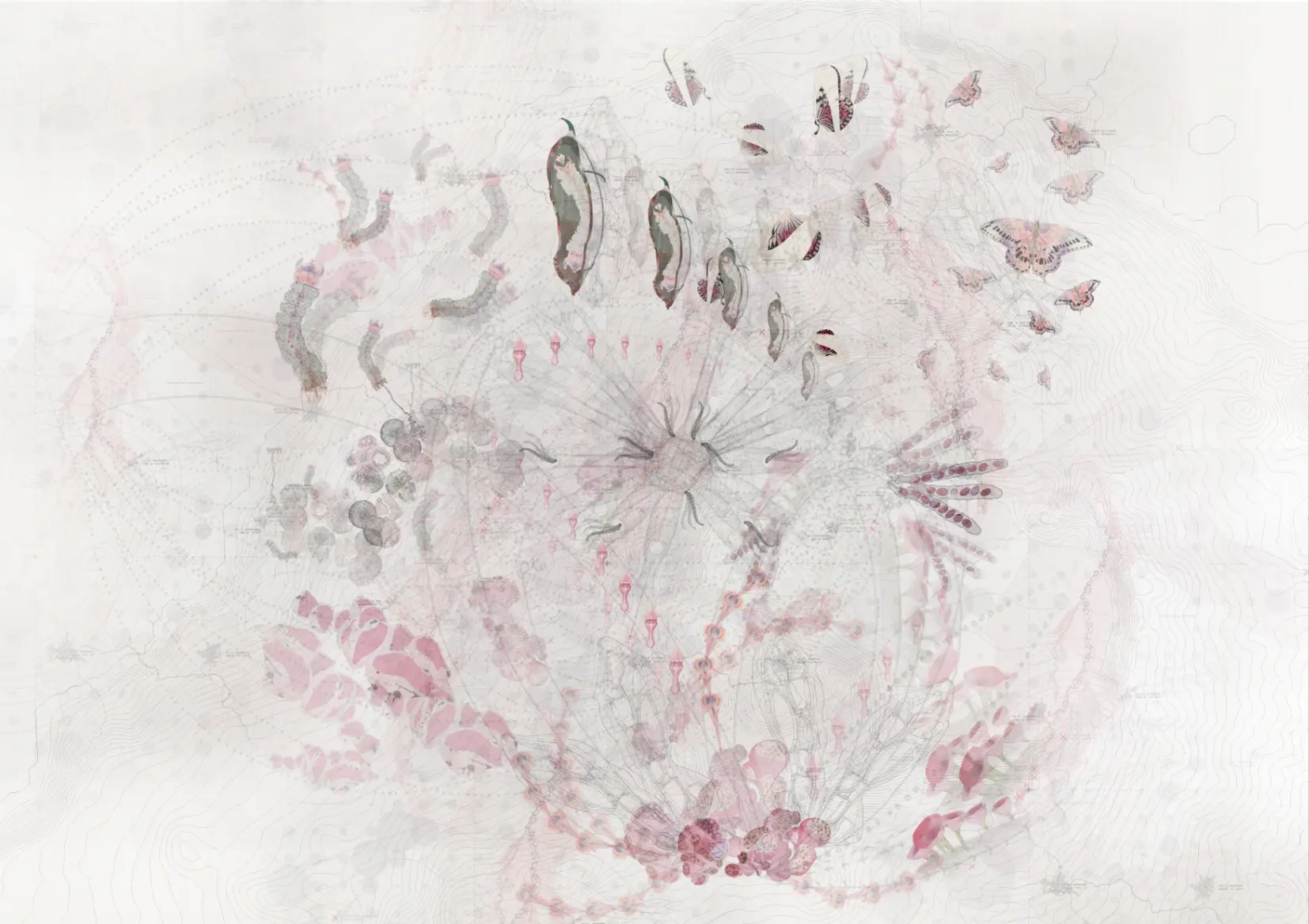 Ecosystem drawing of butterflies, chrysalides, larvae and organic matter layered over a faint topographic field
