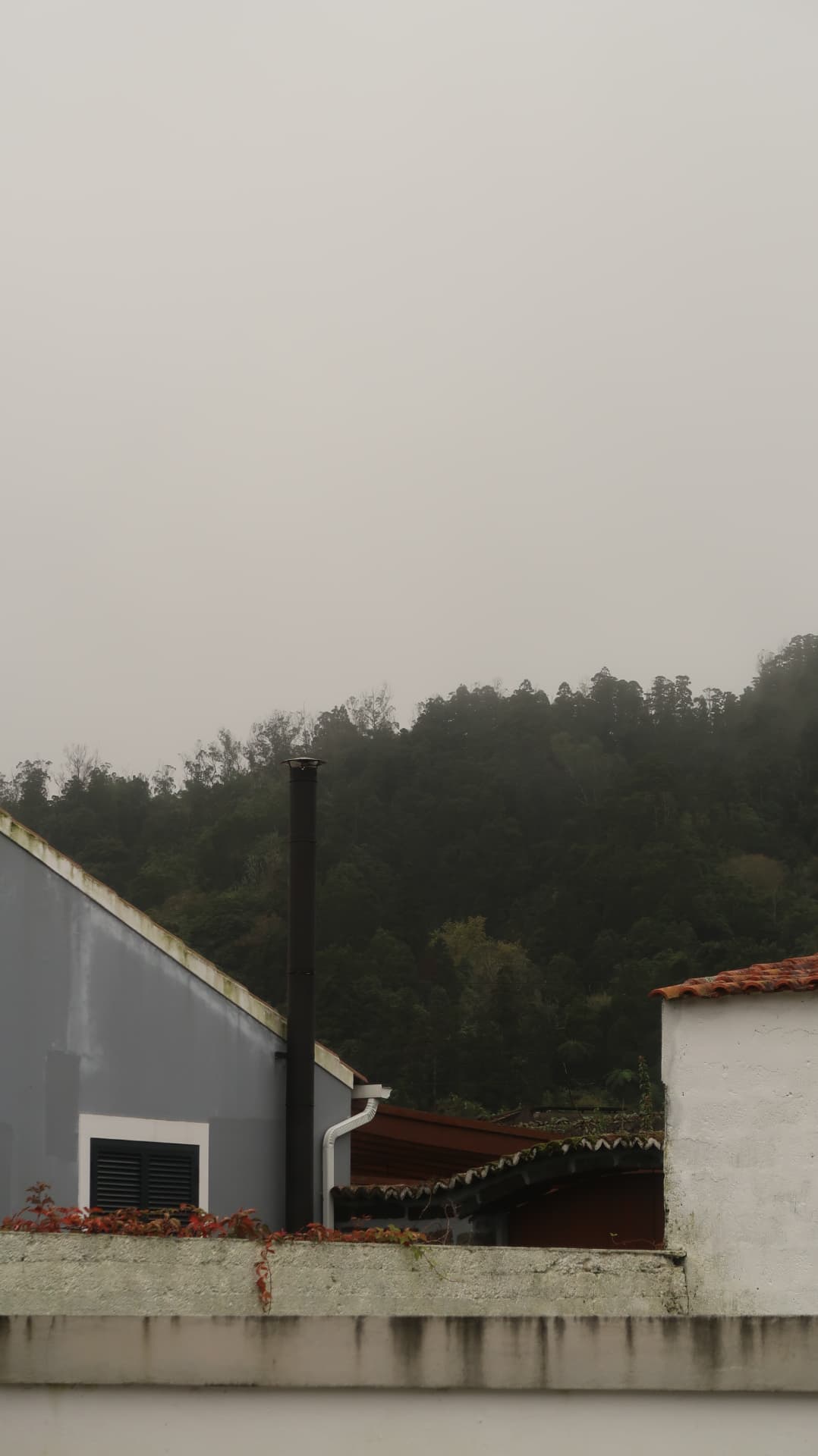 Grey and white roofs with a black flue against a forested slope