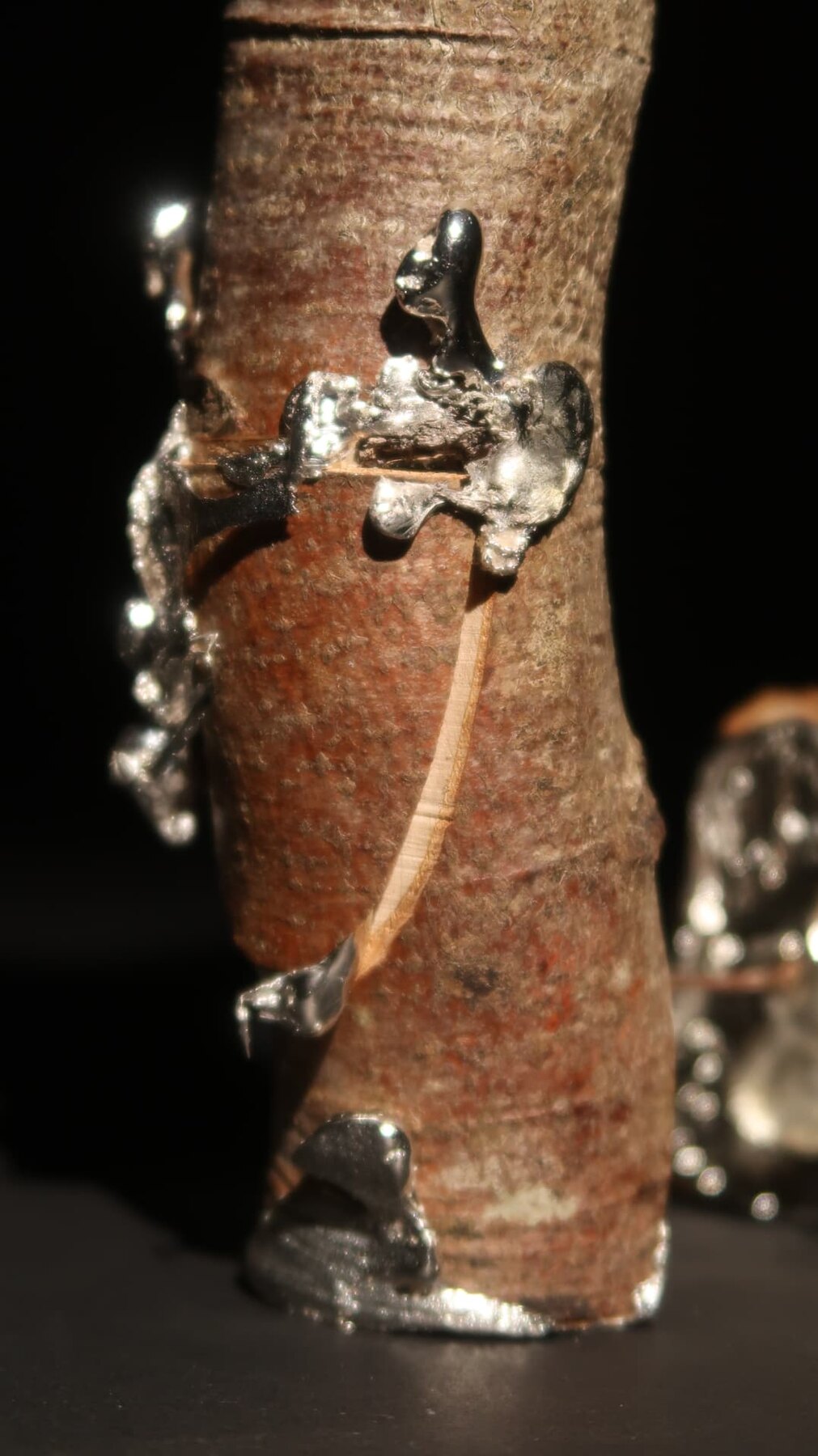 Close detail of metal seams fused into a bark surface