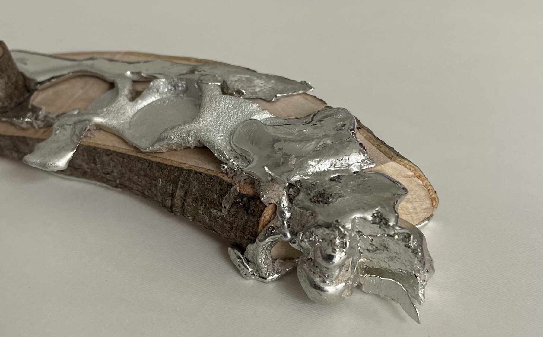 Cast pewter spreading across a sawn branch on a pale ground
