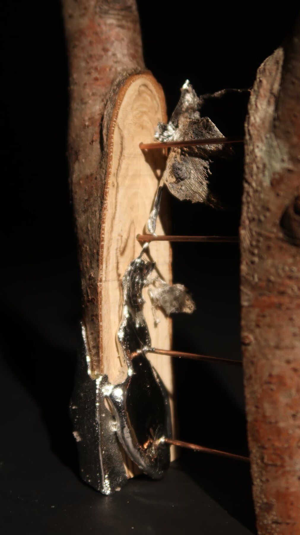 Split wood blade pinned between two branches with copper rods and cast metal