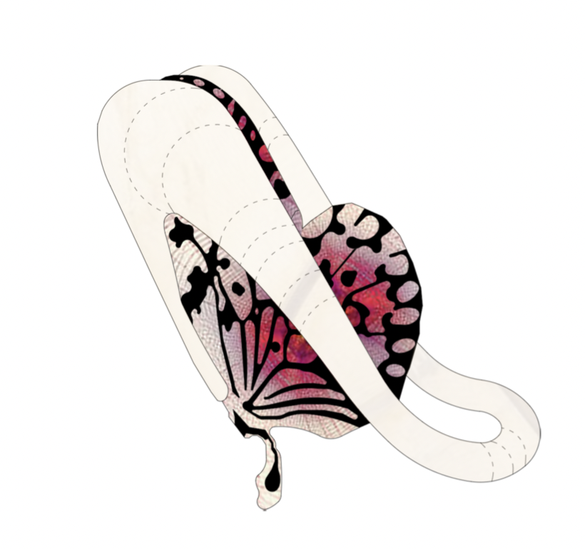 Wing enclosed within a pale looping shell, second view