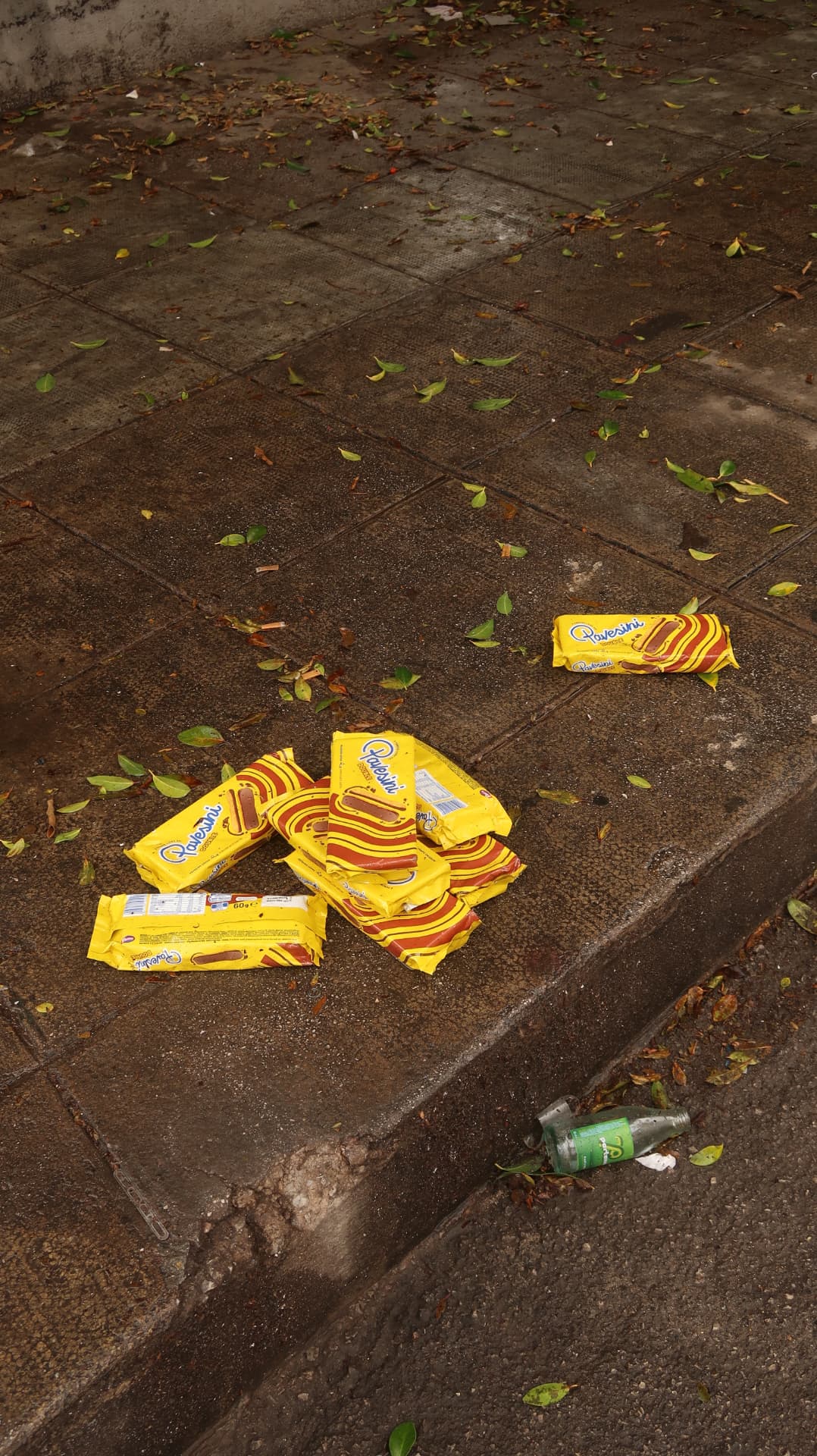 Biscuit packets scattered on a wet kerb among fallen leaves