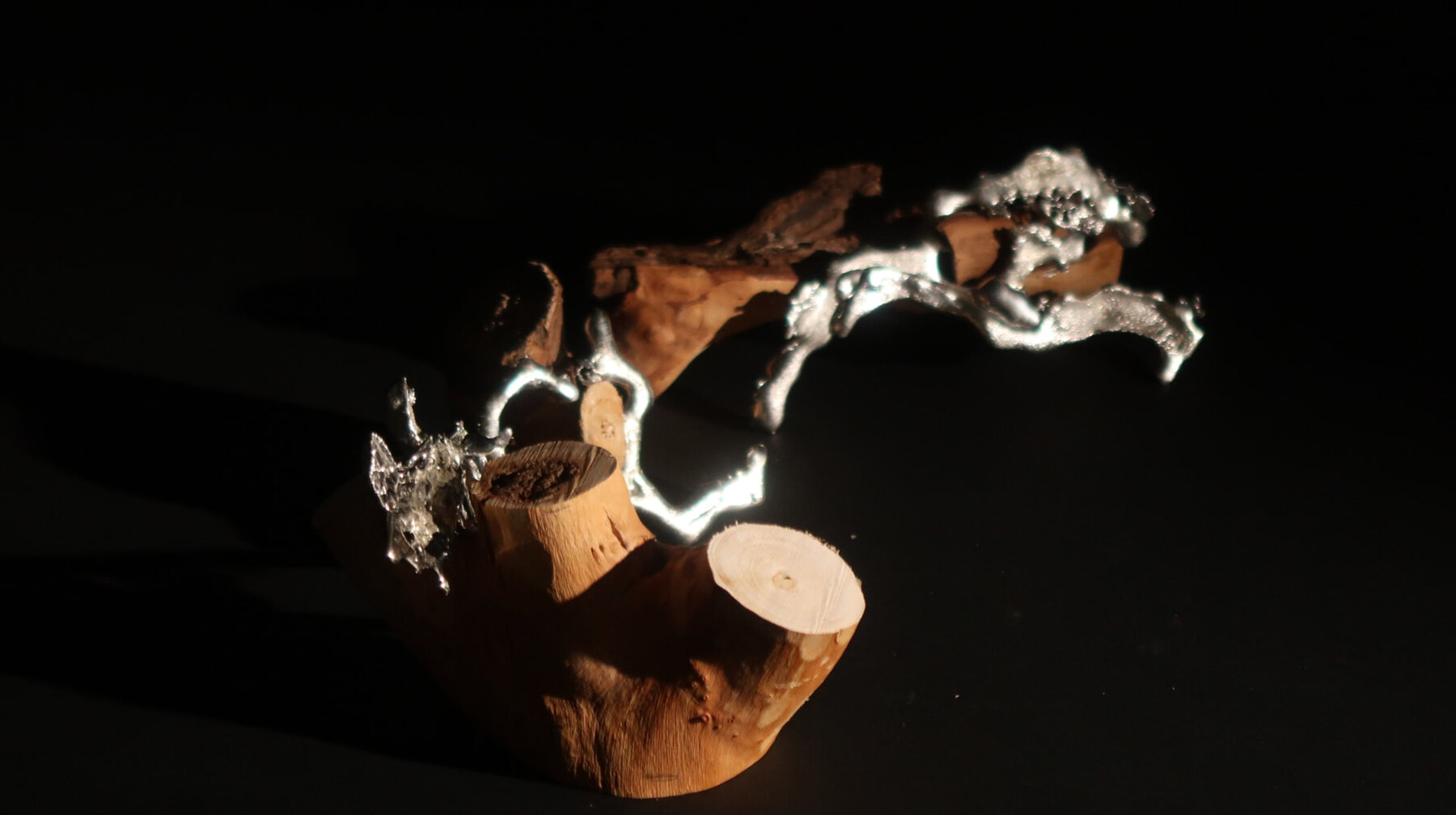 Cast pewter branch spanning across split olive wood, lit against black