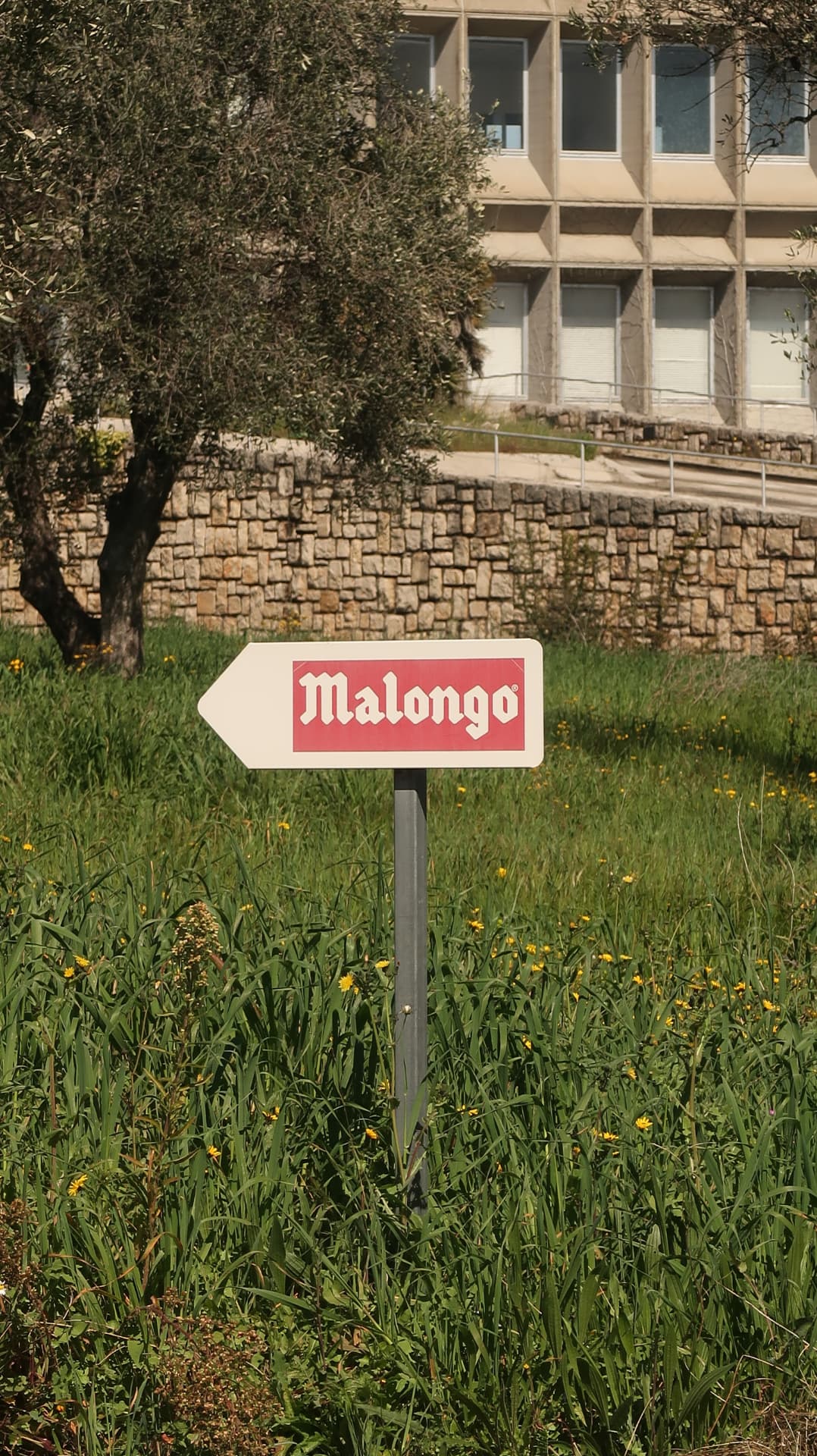 Malongo arrow sign in a meadow below a concrete building
