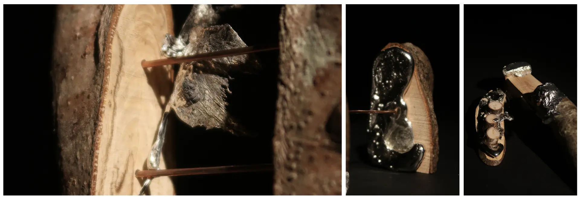 Photographic studies of organic wax and metal models assembled with timber