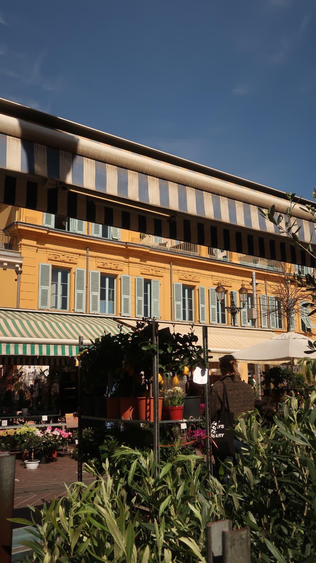 Striped awnings above an ochre facade with olive branches