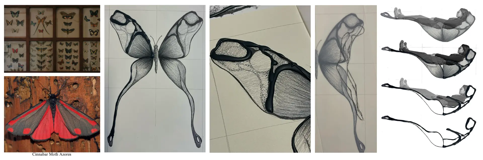 Collage of pinned butterfly specimens, a red and black moth, anatomical sketches and body-form studies